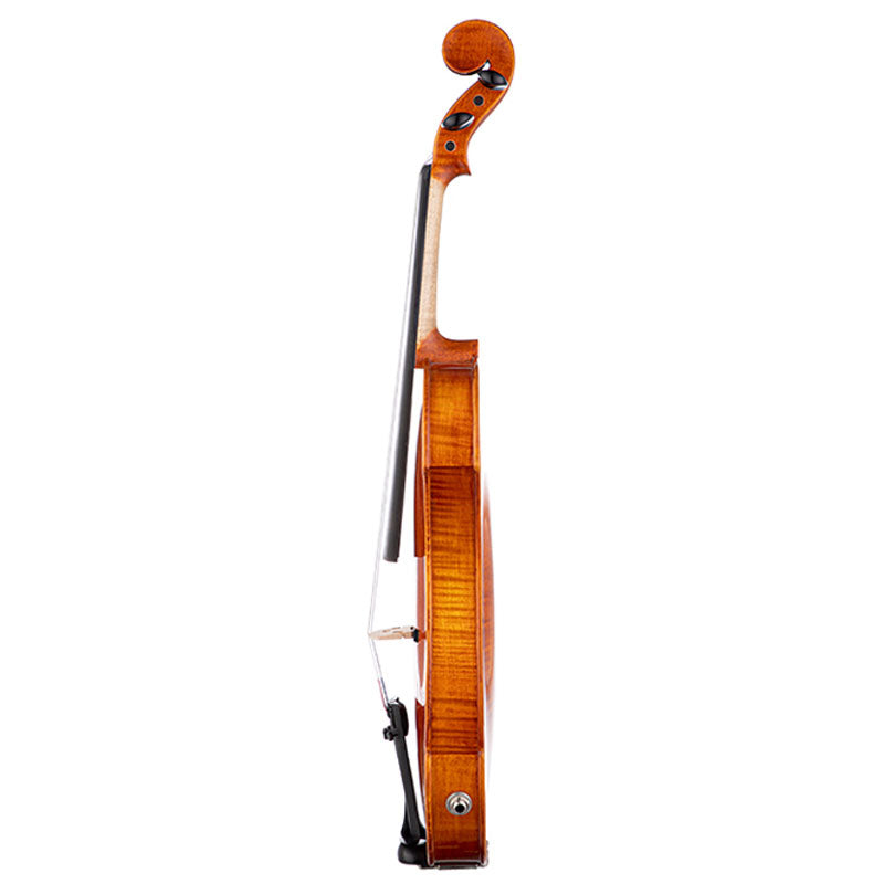 Professional Electric Violin Model of CTDS Series