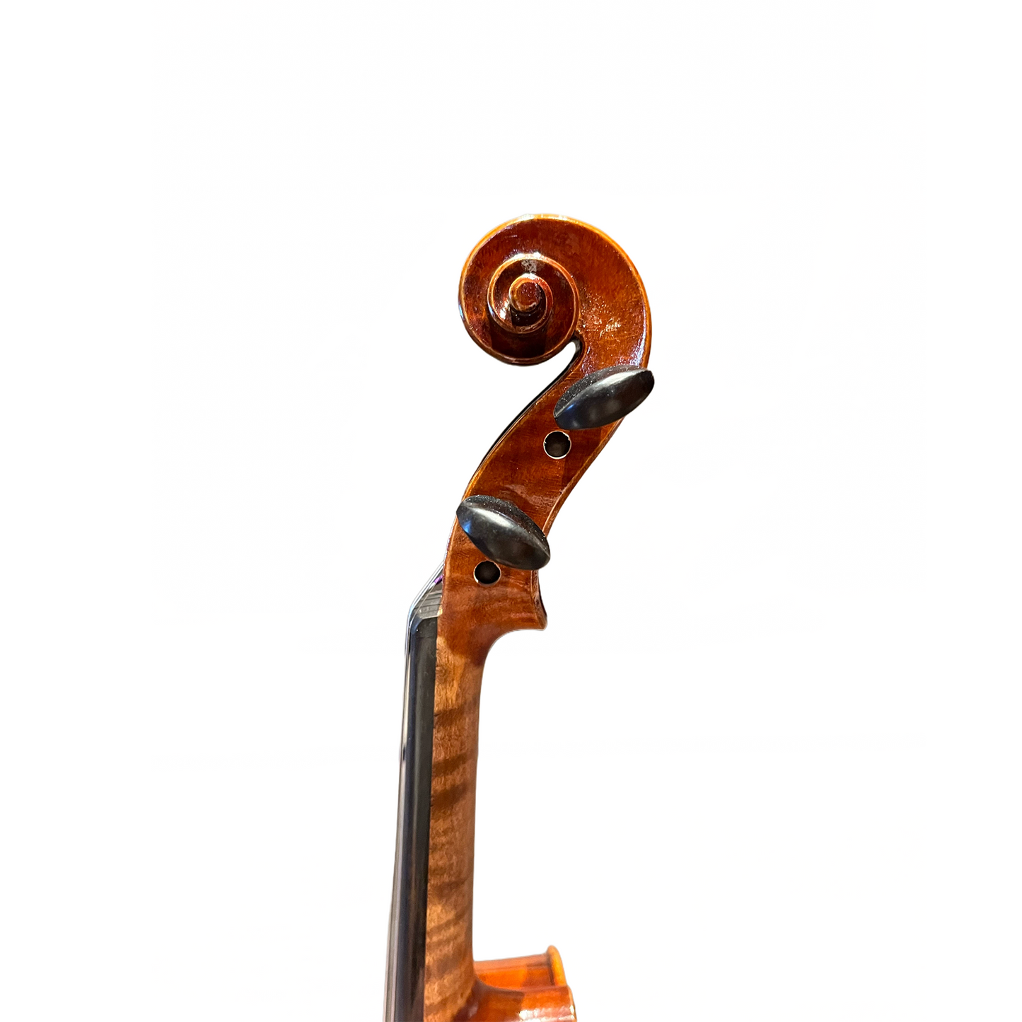 Artisan Fiddler 1600 Violin Bundle - Russian Spruce, 5 Years